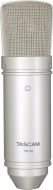 TASCAM	TM-80 Large Diaphagm Condenser Microphone (Silver)
