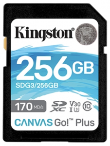 Kingston Canvas Go! Plus SD Memory Card for DSLRs, mirrorless cameras and 4K video production 256GB